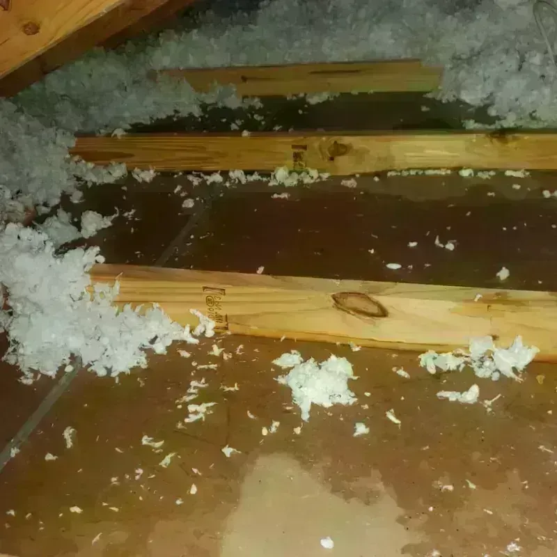 Attic Water Damage in Petersburg, AK