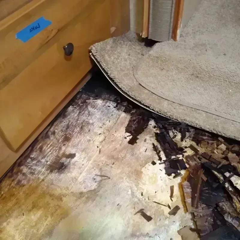 Wood Floor Water Damage in Petersburg, AK